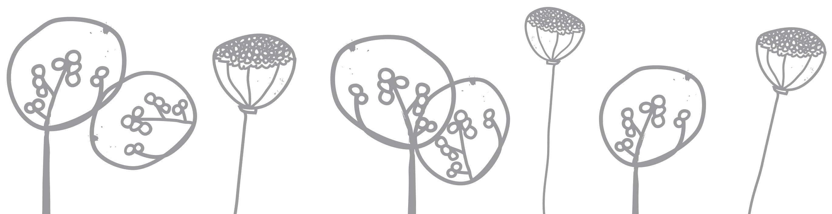 Decorative line drawing of garden seed heads